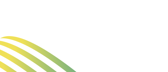 Data Processing Solutions