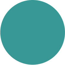 Data Processing Solutions